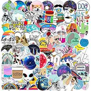 Vsco Girls Stickers for Teens Girls,Big 100-Pack Watter Bottles Stickers for Hydro Flask,Trendy Deca