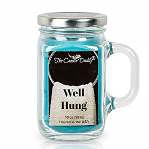 Well Hung - Hanging Towel - Funny Fresh Linen Candle- 10 oz Mason Jar Candle- Made in USA now 30.0..