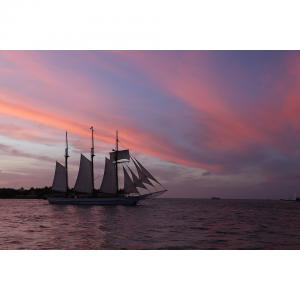 8 Amazing All-Inclusive Family Resorts in Key West - A Traveler’s Guide