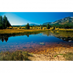 10 Best Vacation Homes with Swimming Pools in Lake Tahoe 