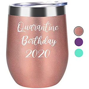 One Day Only！Quarantine Birthday 2020 Novelty Wine Tumbler Mug - Fun Birthday Gifts for Women - Fu..