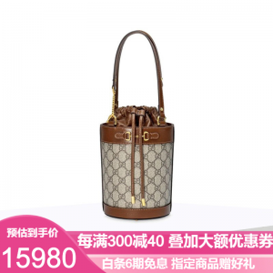 立减CNY￥500,GUCCI 古驰 女包 马衔扣1955系列小号水桶包 单肩包 斜挎包 奢侈品包包 637115 老花637115【预订】