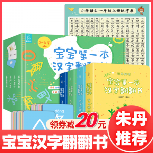 立减CNY￥20,【朱丹推荐包邮】宝宝第一本汉字翻翻书全4册中英双语儿童识字书认字幼小衔接学前看图识字书3-6岁幼儿园