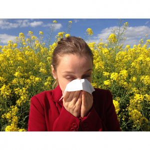 2024最全美国花粉症攻略（花粉过敏症状+预防、缓解及治疗方法+常用非处方药+食疗）- 花粉过敏，眼痒鼻塞打喷嚏咳嗽等！ 