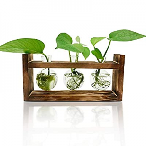 40.0% off Plant Terrarium with Wooden Stand（3 Bulb Vase） Desktop Air Planter Bulb Glass Vase with ..