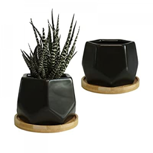 MOD POTTER - Succulent Pots now 10.0% off , Small Pots for Plants, Cactus and Flowers. Modern Geom..