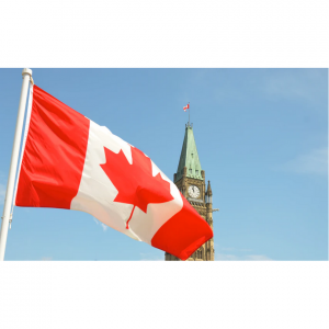 2023加拿大入境限制及禁止携带物品清单（附需申报物品+关税）- 药品、食品、化妆品等需要申报吗，有哪些新规定？