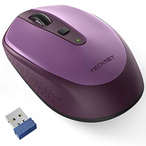 TECKNET Omni Small Portable 2.4G Wireless Optical Mouse with USB Nano Receiver for Laptop Computer,