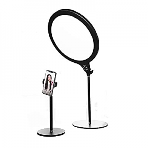 10” Selfie Fill Light with Stand & Cellphone Holder - Bi-Color LED Video Conference Light Panel, 350
