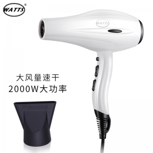 立减CNY￥100,WATTS电吹风机发廊专业家用2000W大功率负离子冷热风发廊吹风筒 HD-39白色