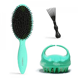 LORSEX Hair Brush, Boar Bristle Hair Brush and Shampoo Brush for Women Men and Kids Nylon & Boar Bri
