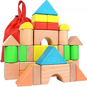 Large Wooden Building Blocks Set - Educational Preschool Learning Toys with Carrying Bag  now 10.0..