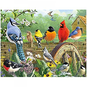 One Day Only！80.0% off 5D DIY Diamond Painting Kits for Adults Kids Garden Bird Full Drill Embroid..