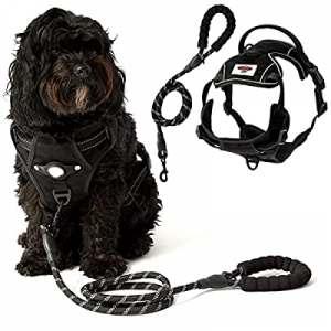 One Day Only！Dog Comrade the World's first AirTag Dog Harness now 60.0% off , No Pull Dog Harness ..