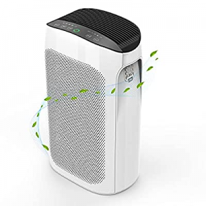 Air Purifier for Home Large Room now 10.0% off 