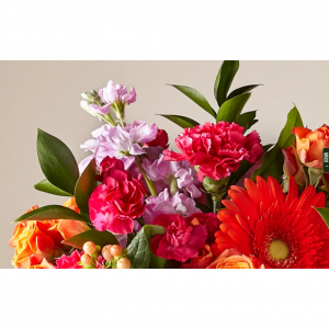 2025美国可以在哪里买康乃馨？（订花网站+配送方式+20%返利优惠）