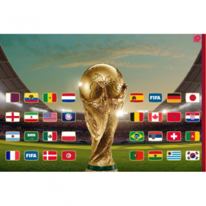 2024年卡塔尔世界杯门票购买攻略（赛程时间表+购票网站+价格+9%返利）