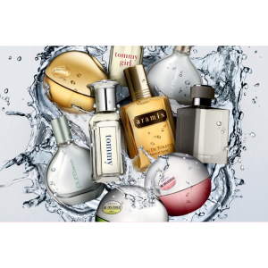 2025年12个国内外香水评价、评分网站/App推荐+各自特点介绍 - Fragrantica, Basenotes, 香水时代等！