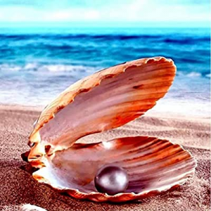 One Day Only！51.0% off Square 5D Diamond Painting Kits for Adults Kids Beach Shell Pearl by Number..