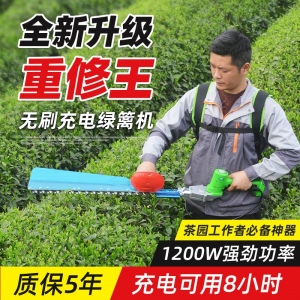立减CNY￥80,TOMSPOWER充电式无刷重修绿篱机锂电采茶机茶园茶树修剪机粗枝剪球树修枝剪 4、【单刃】无刷重修24V+20A锂电（8小时）