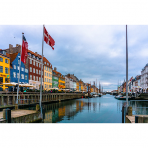 2024丹麦入境限制及禁止携带物品清单（附需申报物品+关税）- 药品、烟酒茶叶、食物、现金等可以带吗？