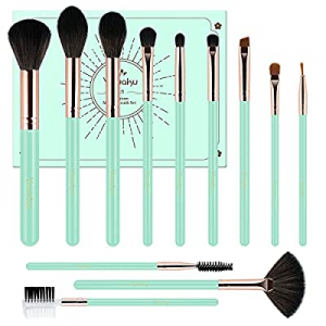 Makeup Brushes Set Professional from an Array of Eyeshadow Foundation Brushes to a Concealer Brush t