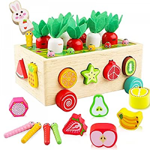 Montessori Toys for 1 Year Old now 50.0% off , Toys for Girls 2 Year Old Girl Birthday Gift, Educa..