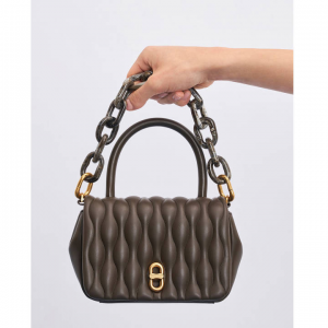 Charles & Keith Iva 手提包