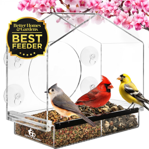 Gray Bunny Window Bird Feeder with Strong Suction Cups – Bird House Window Bird Feeders for View