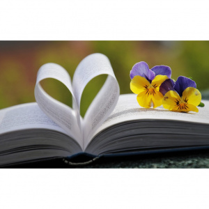 8个北美中文漫画/小说购买网站推荐  - 简/繁体中文漫画、小说便宜购！（高达10.5%返利）