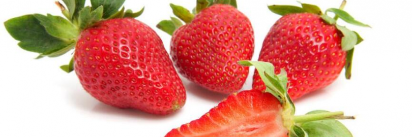 2024重庆草莓采摘 — 重庆周边草莓园推荐 莫负“莓”好春光