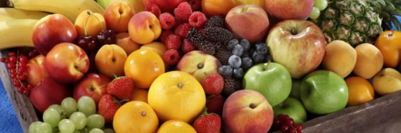2024昆明全年水果采摘时间表 - 四季最佳摘水果地方推荐（附价格+交通路线）