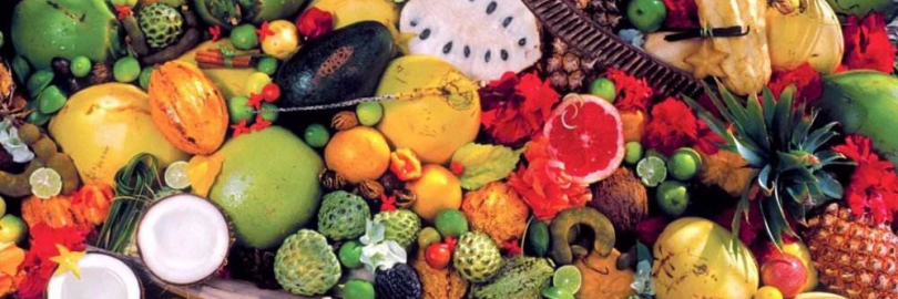 2024海南全年水果采摘时间表 - 周边最佳摘水果地点推荐（附价格+交通路线）