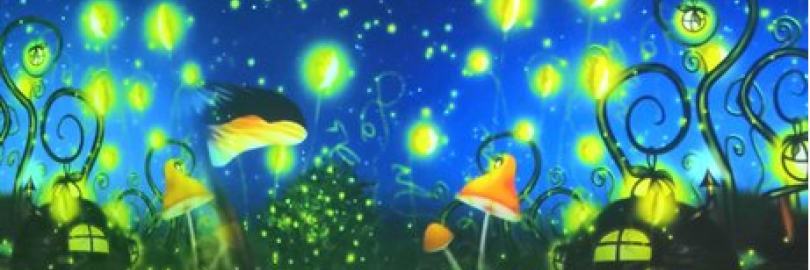 2025厦门星空失恋博物馆攻略 - 打卡圣地,好美好感动(附门票+地点+路线)