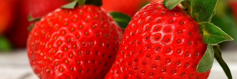 2019年丁丁草莓采摘园游玩攻略 | 又是一年草莓季，不负阳光不负卿