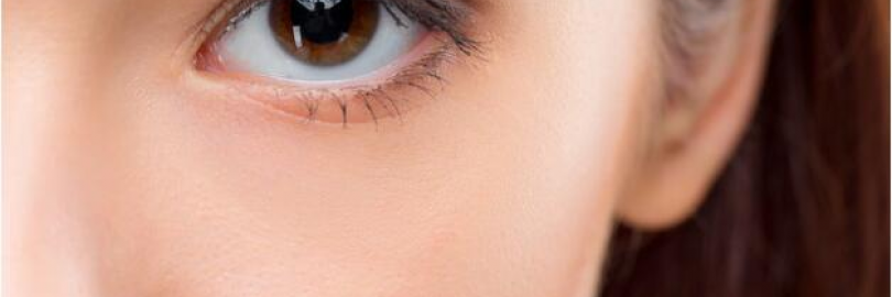 8 Best Eyeshadow Primer For Long-Lasting Eye Makeup