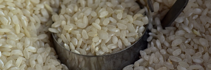 2024英国大米购买指南 - 英国有哪些好吃的大米推荐？（大米种类+购买渠道+价格）