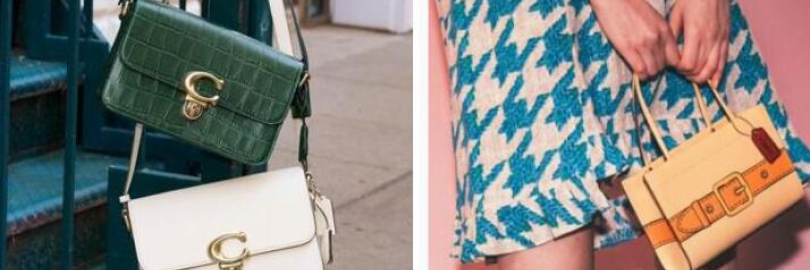 10 Best Affordable Luxury Brands for Designer Handbags & Purses in 2024