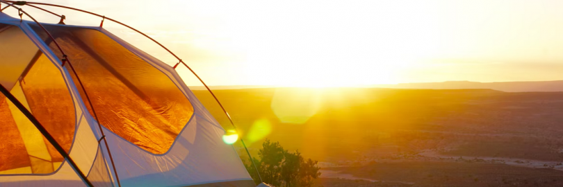 Coleman vs. REI vs. Gazelle vs. Ozark Trail: Which Brand Wins the Camping Tent Showdown?