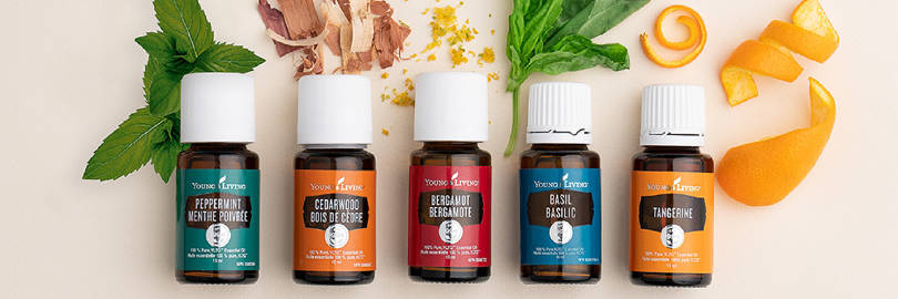 6 Cheaper Alternative to Young Living Essential Oils