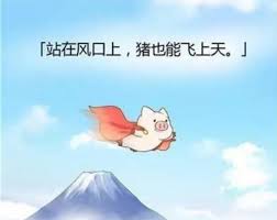 1547025327214922.jpg index.jpg