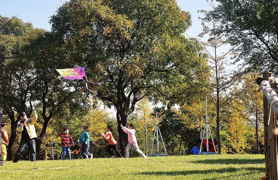 1550305307935864.jpg 塔子山2.jpg