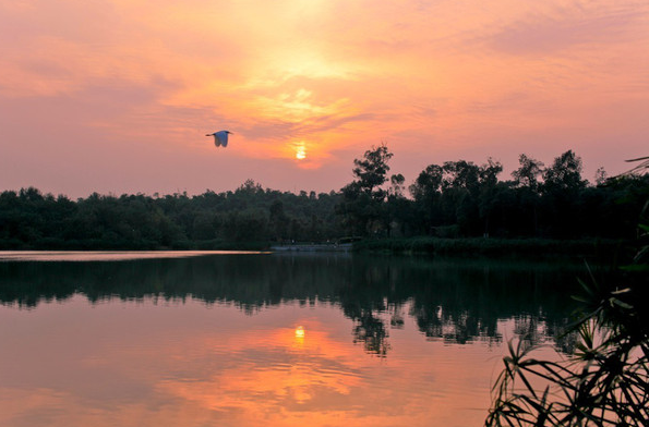 1550305358673192.png 浣花溪2.png