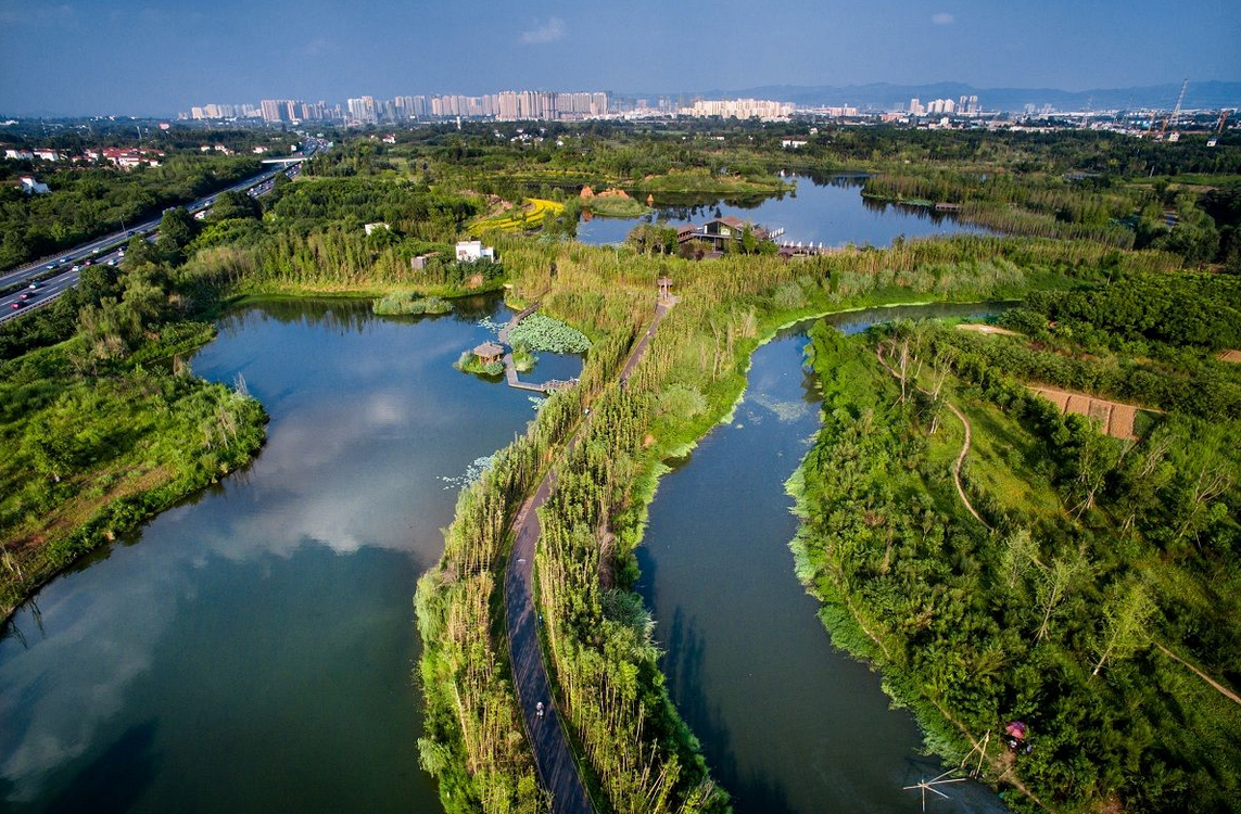 1550305437916890.png 白鹭1.png