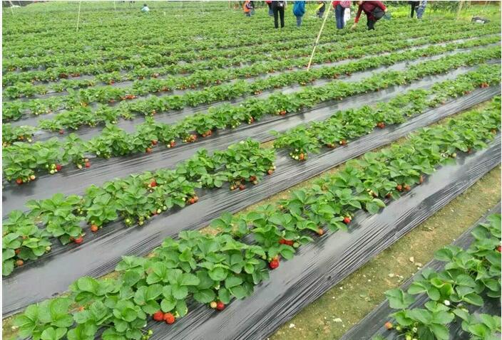 1550640023964536.jpg 1550640023964536.jpg