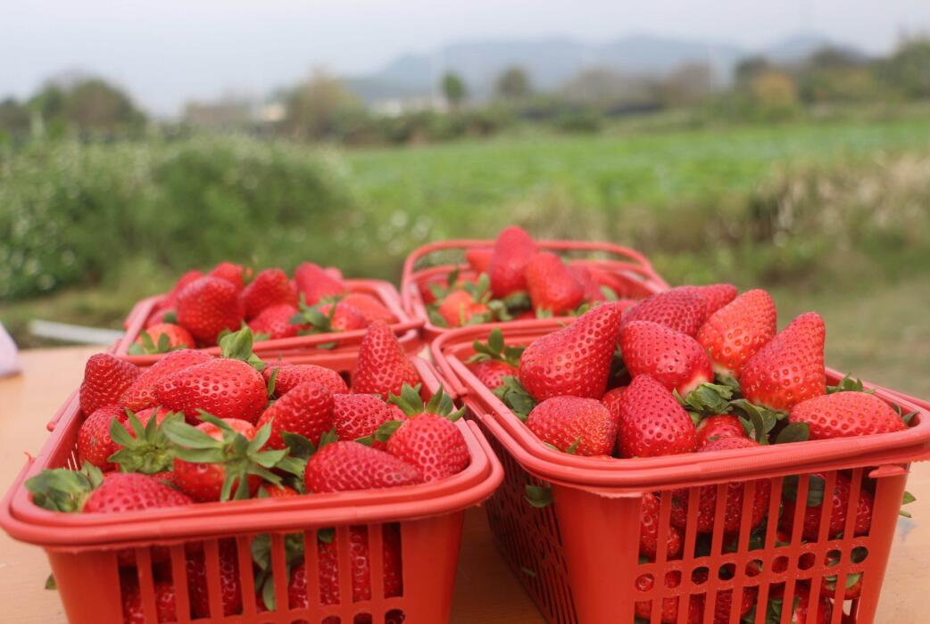 1550640072252061.jpg 1550640072252061.jpg