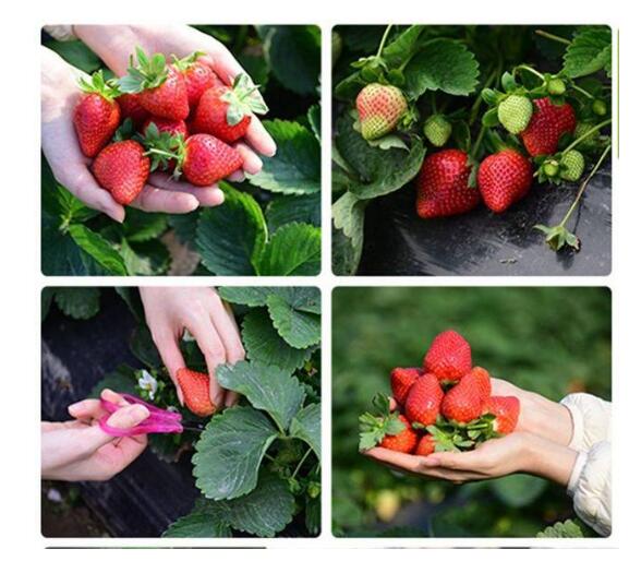 1550640195634618.jpg 1550640195634618.jpg