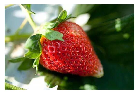 1550640249253217.jpg 1550640249253217.jpg