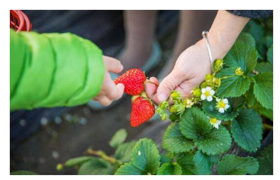 1550640522321333.jpg 1550640522321333.jpg