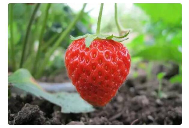 1550640524526431.jpg 1550640524526431.jpg